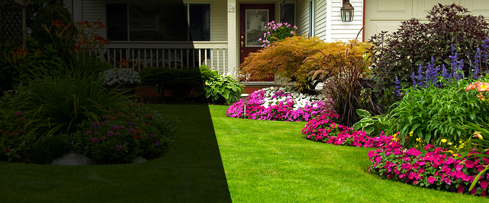 La Joya Landscapers