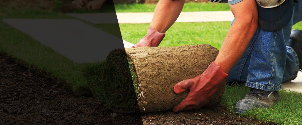 La Joya Landscapers
